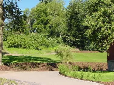 Kutscherhaus und Studentenvilla - Auffahrt und Blick in den weitläufigen Garten